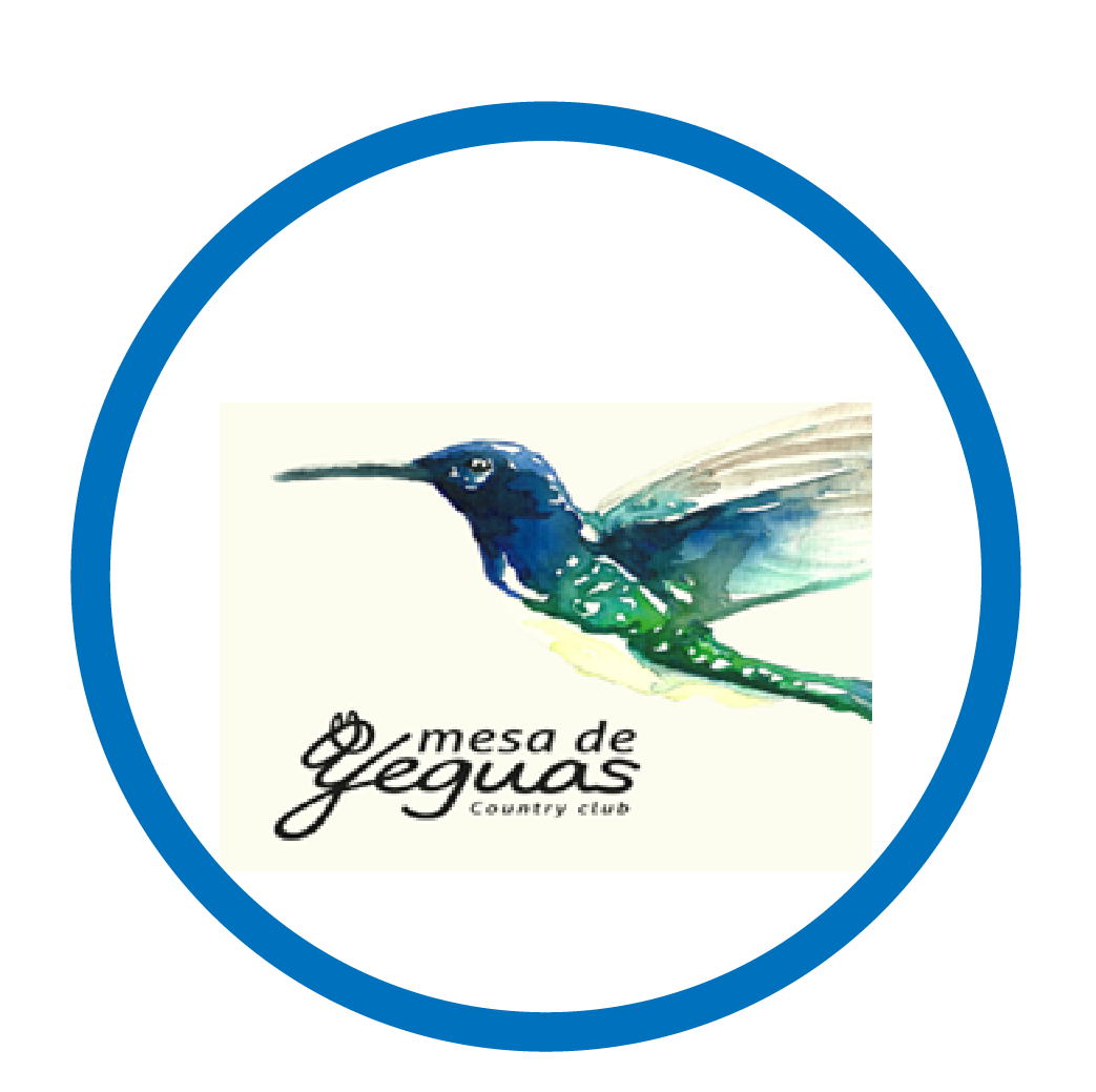 DISENOS WEB 18